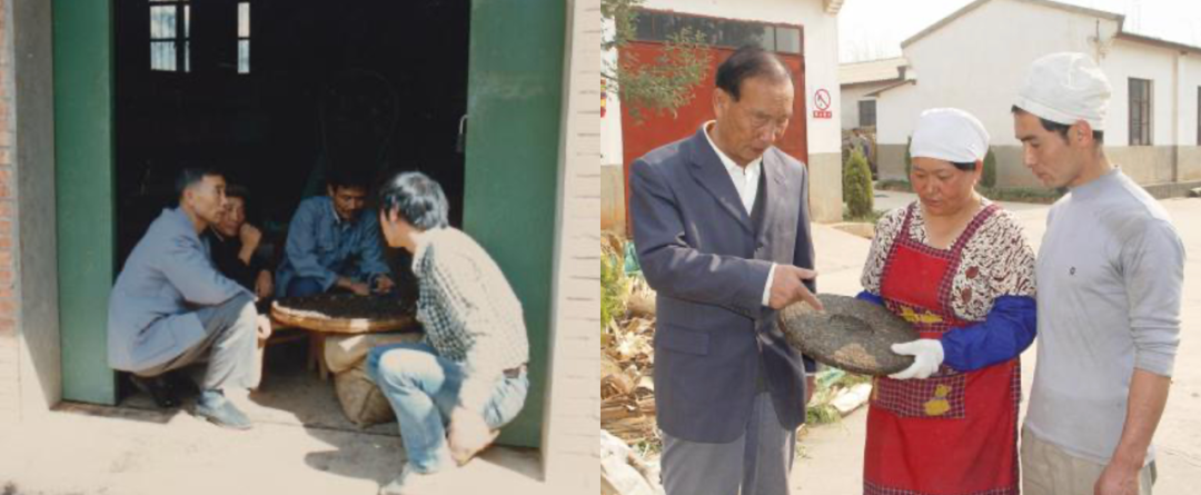 杨行吉老师跟茶农交谈