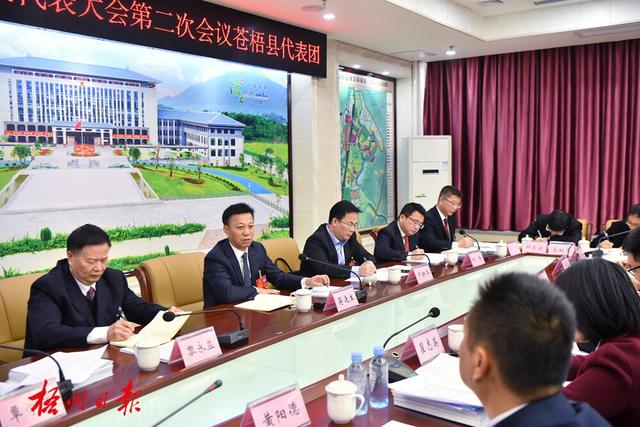 擦亮六堡茶核心区的金字招牌蒋连生参加苍梧县代表团审议