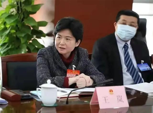 区委书记王岚,区委副书记,区长张伟,区人大常委会党组书记戴骅,区人大