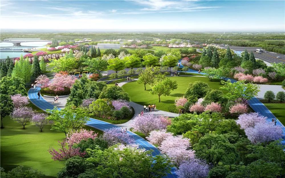 春节期间对外开放市政广场和市民公园改造提升项目已完成95