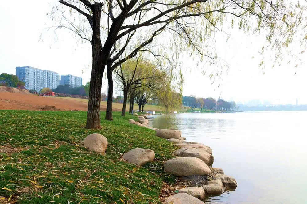 春节期间对外开放市政广场和市民公园改造提升项目已完成95