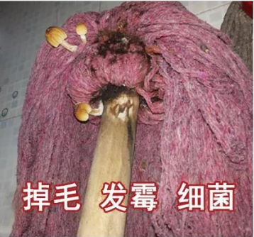 一切的罪归祸首都是你手里的那把脏兮兮的拖把,发霉,掉色,没洗净,每