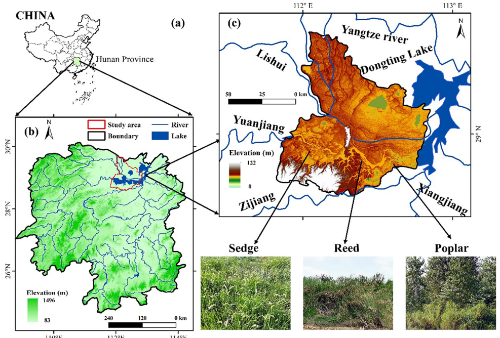 图1 （a）研究区域和（b）洞庭湖的位置和水系；（c） 研究区域的数字高程模型（DEM）和水系，以及三个特征植被剖面