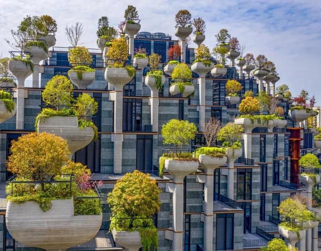 揭秘天安千树花园,看繁华千树是如何"长"在建筑里的