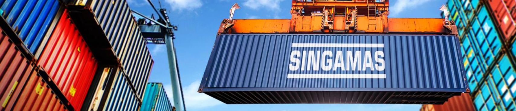 借大势雄起全球大型货柜企业胜狮去年利润增长逾38倍股价大涨19