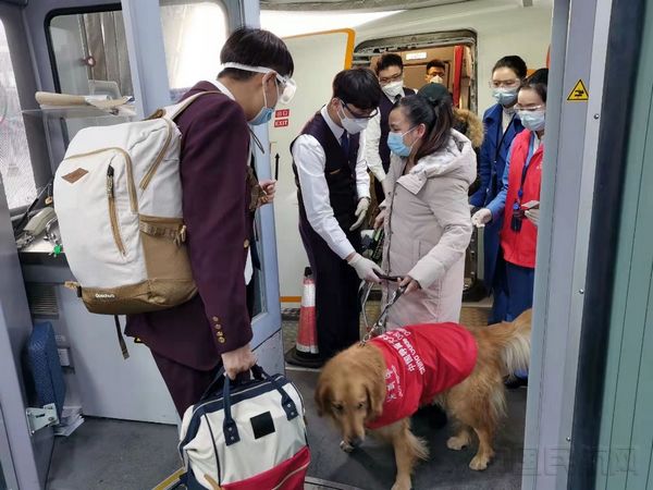 桂林航空乘务长将宁宁交到主人手中，徐州基地地服工作人员在舱门口接机