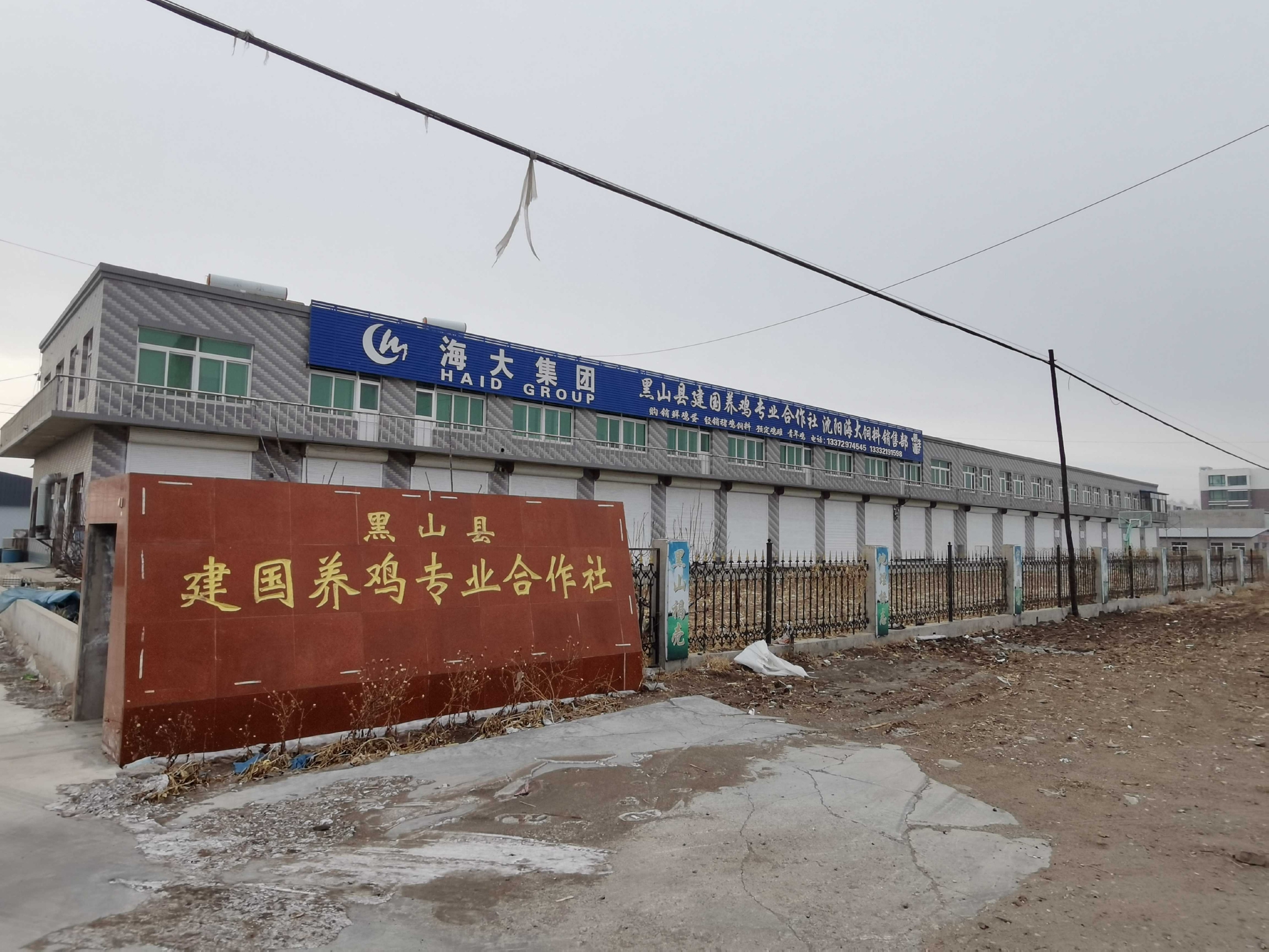 黑山县建国养鸡专业合作社春节前后蛋价走弱3月逐渐回暖