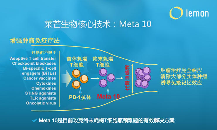 Meta10 代谢重编程技术平台显著增强多种肿瘤免疫疗法原理示意图