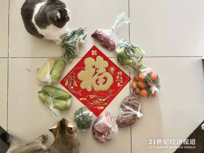 （徐元和她家的猫猫们收到了工作人员送来的生活物资，受访者供图）