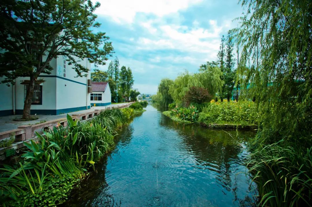 经验看台浙江嘉善水美乡村千年古镇重获新生