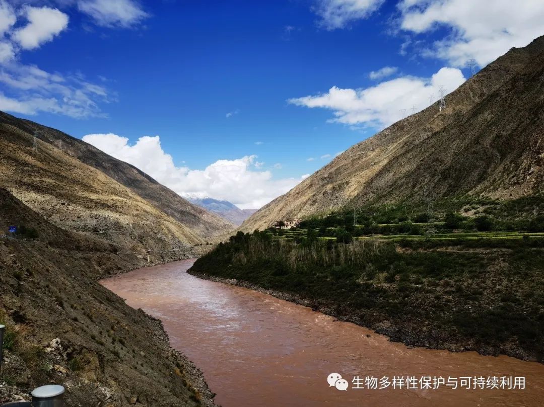 澜沧江河谷(察雅县),董文捷拍摄