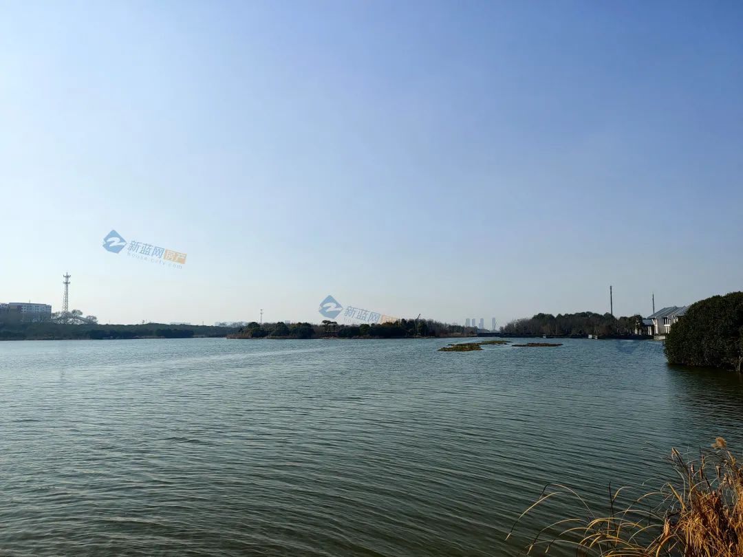 大江东东沙湖实景
