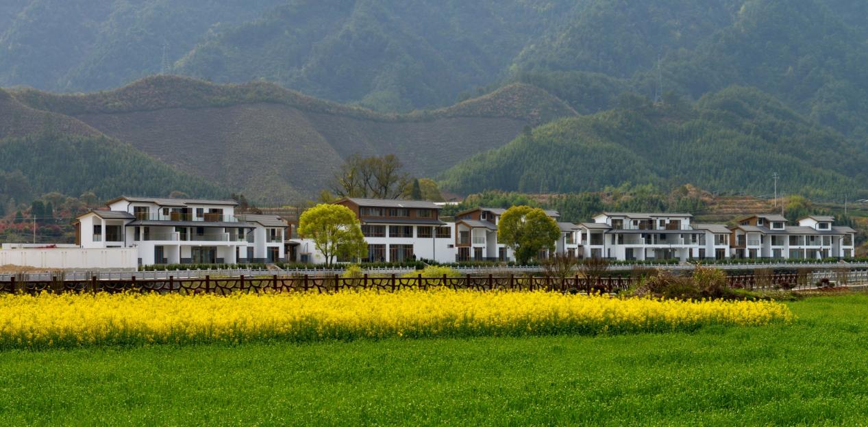 基地丰富村级产业经济……如今的浙江省开化县马金镇高合村处处是生机