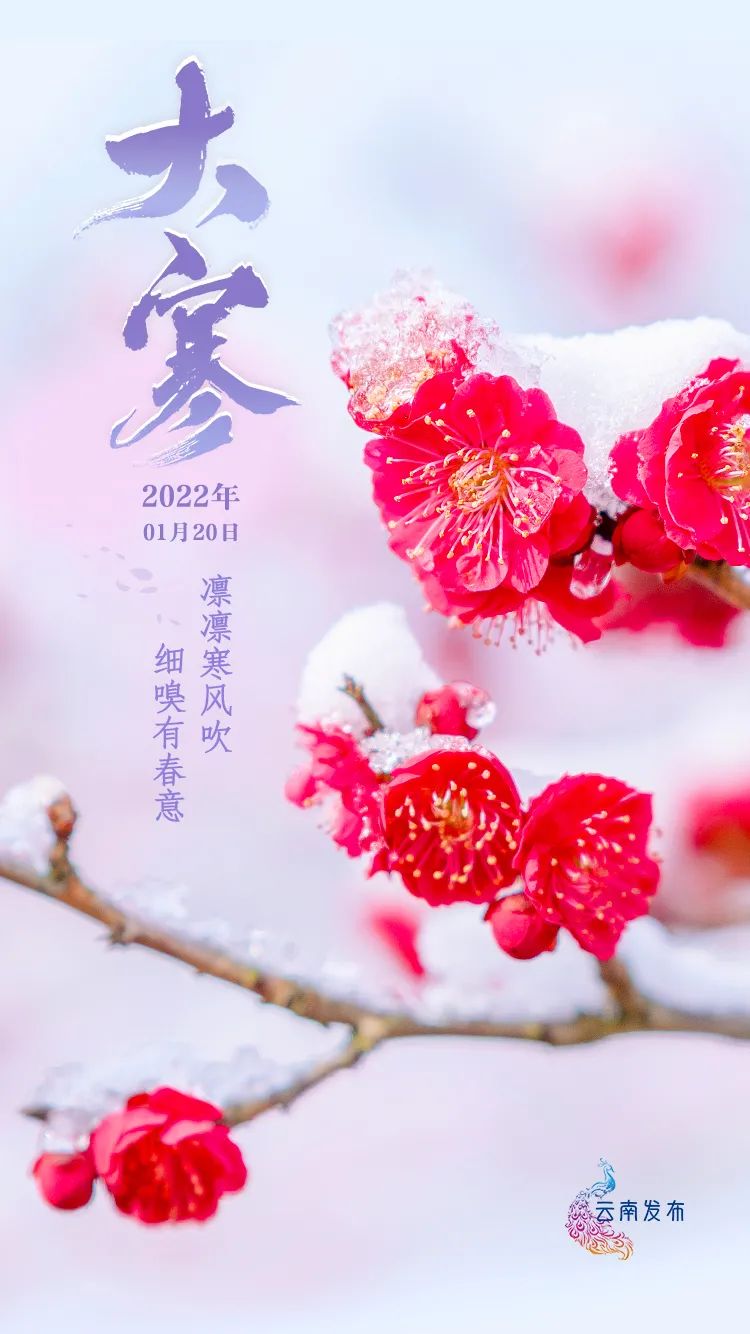 【节气】今日大寒｜望春