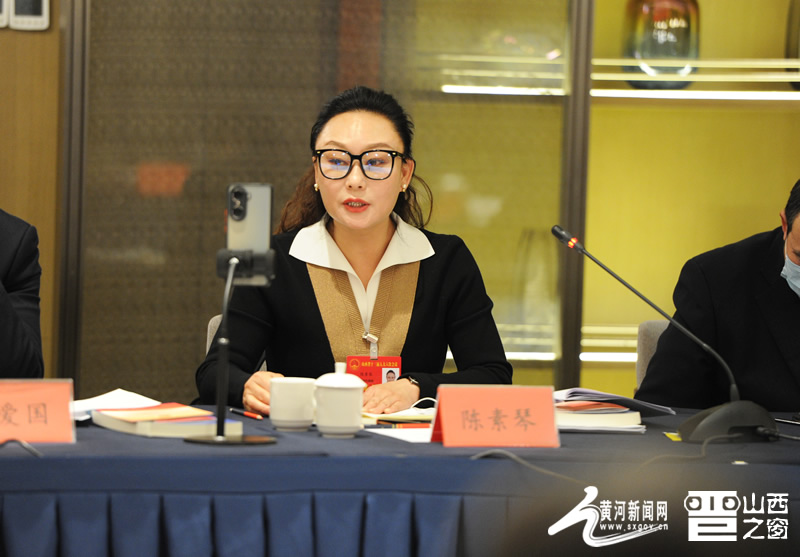 图为陈素琴代表在晋城团审议中发言.