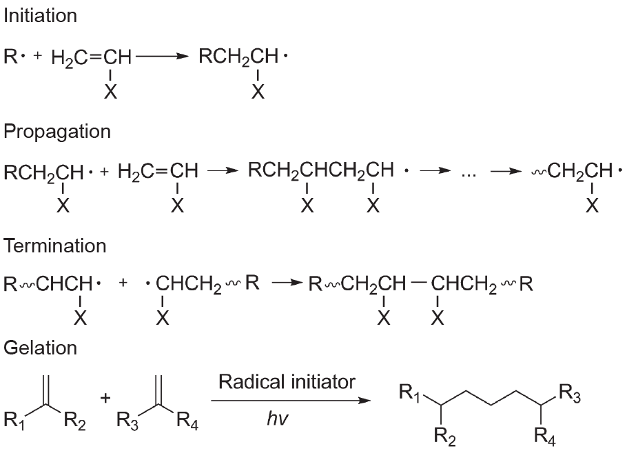 图5 自由基聚合机制和凝胶化机制。hv：光子能
