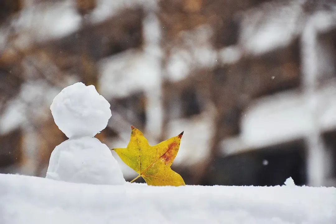 观赏完2022年北师大的第一场雪