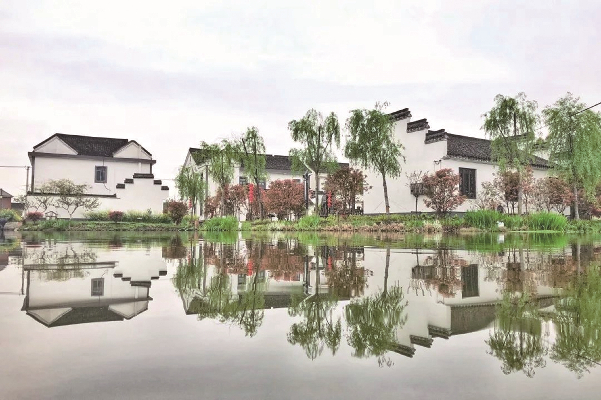 n通 讯 员 吴晓兰 李跃跃 纪亚千晚报记者 辛春喜照片由林埭镇提供