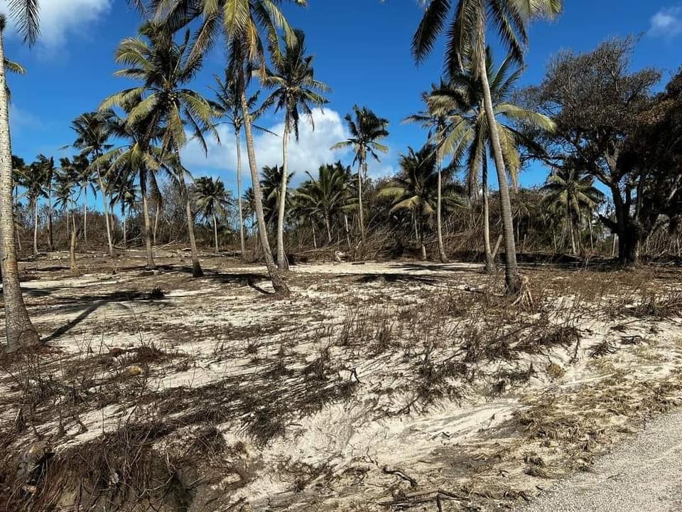 △海岸植被遭到破坏，所见之处一片贫瘠，了无生气（图片来源：汤加领事馆）