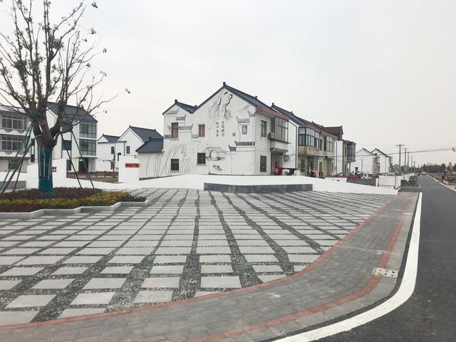 特色产业开出致富花叶榭镇井凌桥村获评全国一村一品示范村