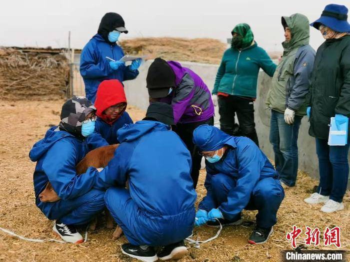 基因科技国家队高科技助力内蒙古乡村振兴