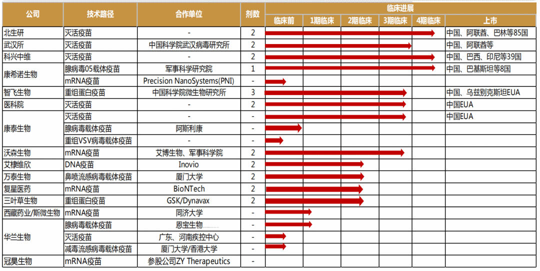 国内新冠疫苗已上市和在研管线。图片来源：西南证券