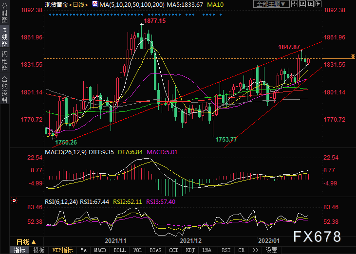  （现货黄金日线图）