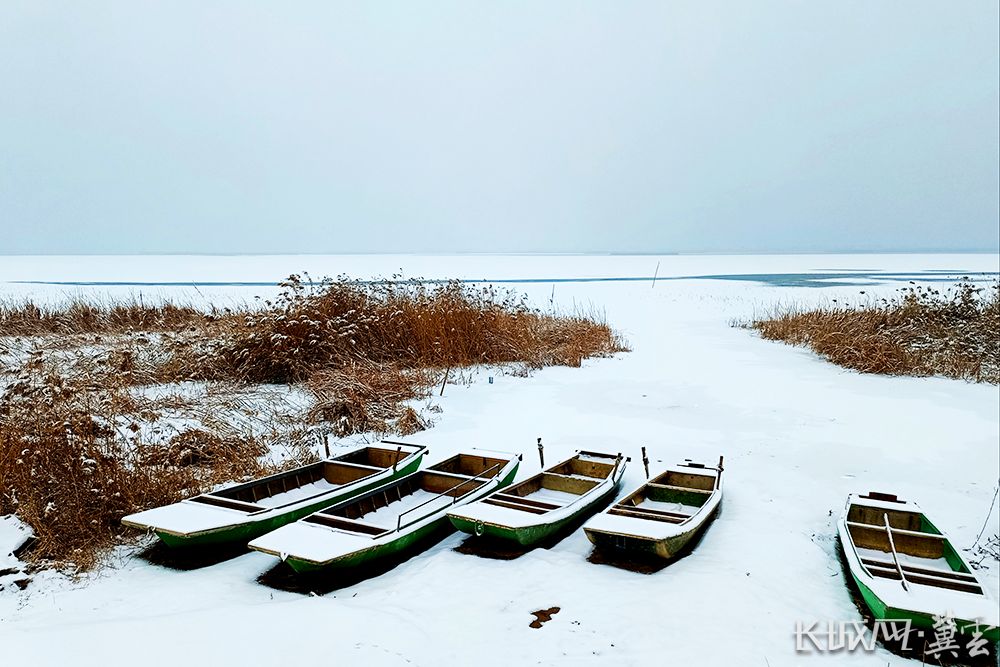 组图衡水湖浴雪美如画