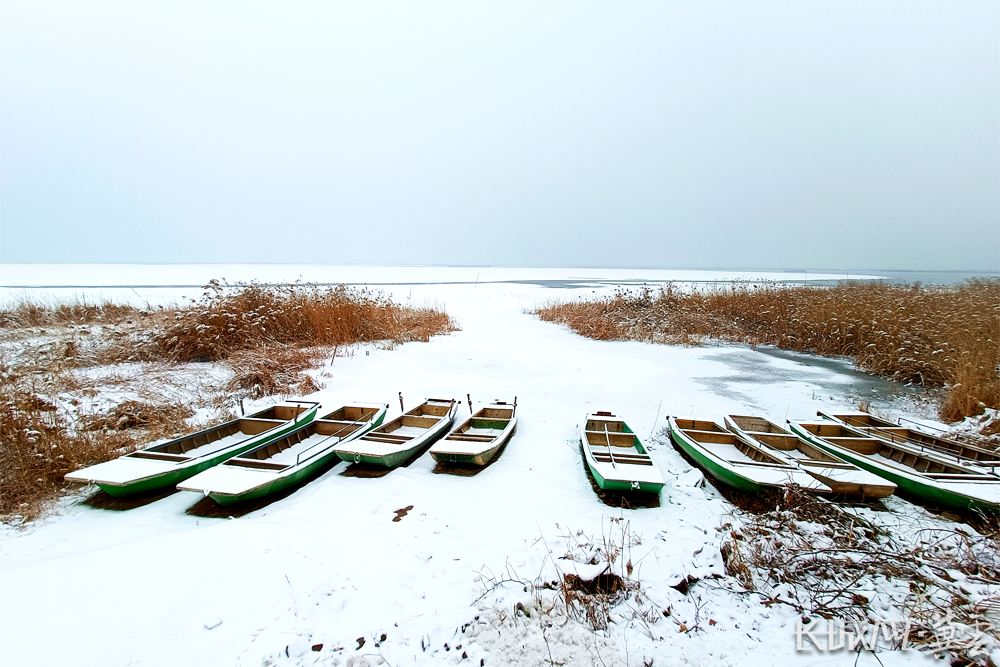 组图衡水湖浴雪美如画