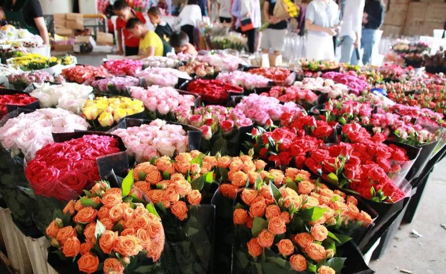 亚洲花都斗南2021年鲜切花交易量交易额双破百亿