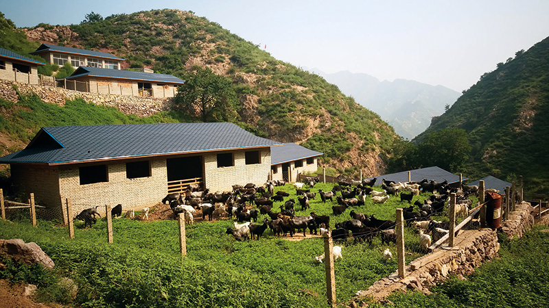 推进乡村振兴听听这十位县委书记怎么说