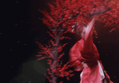 一招一式尽显华夏风骨