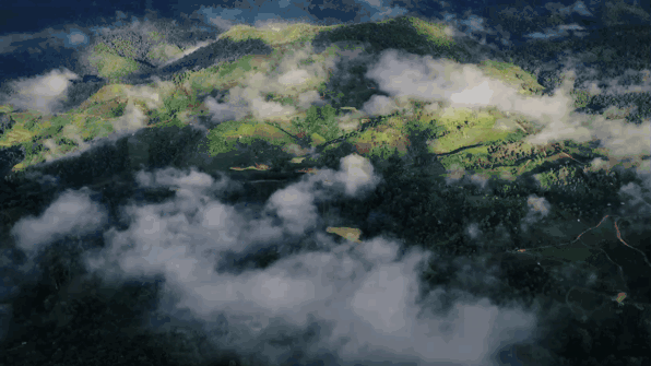 △无可比拟的生态环境。