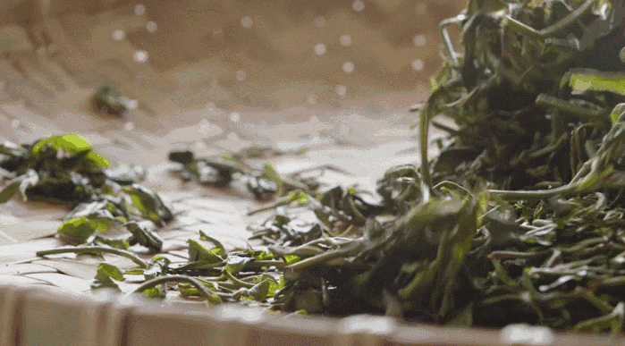 △翻晒茶叶，感知节气的变化。