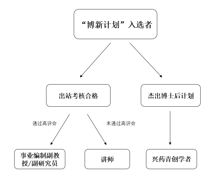 学校“博新计划”入选者发展规划