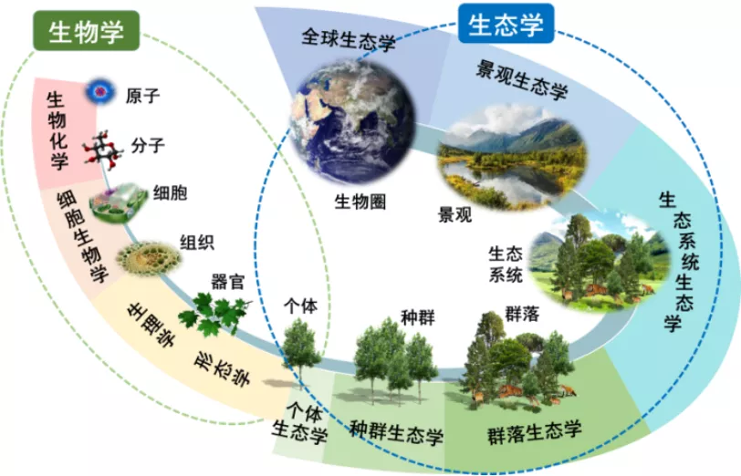 方精云院士撰文重塑生态学学科体系