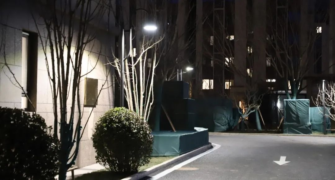 「社区绿植进行包裹，防止冻害」