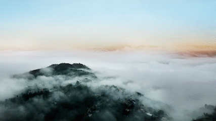 △来到普洱，宛如进入仙境。