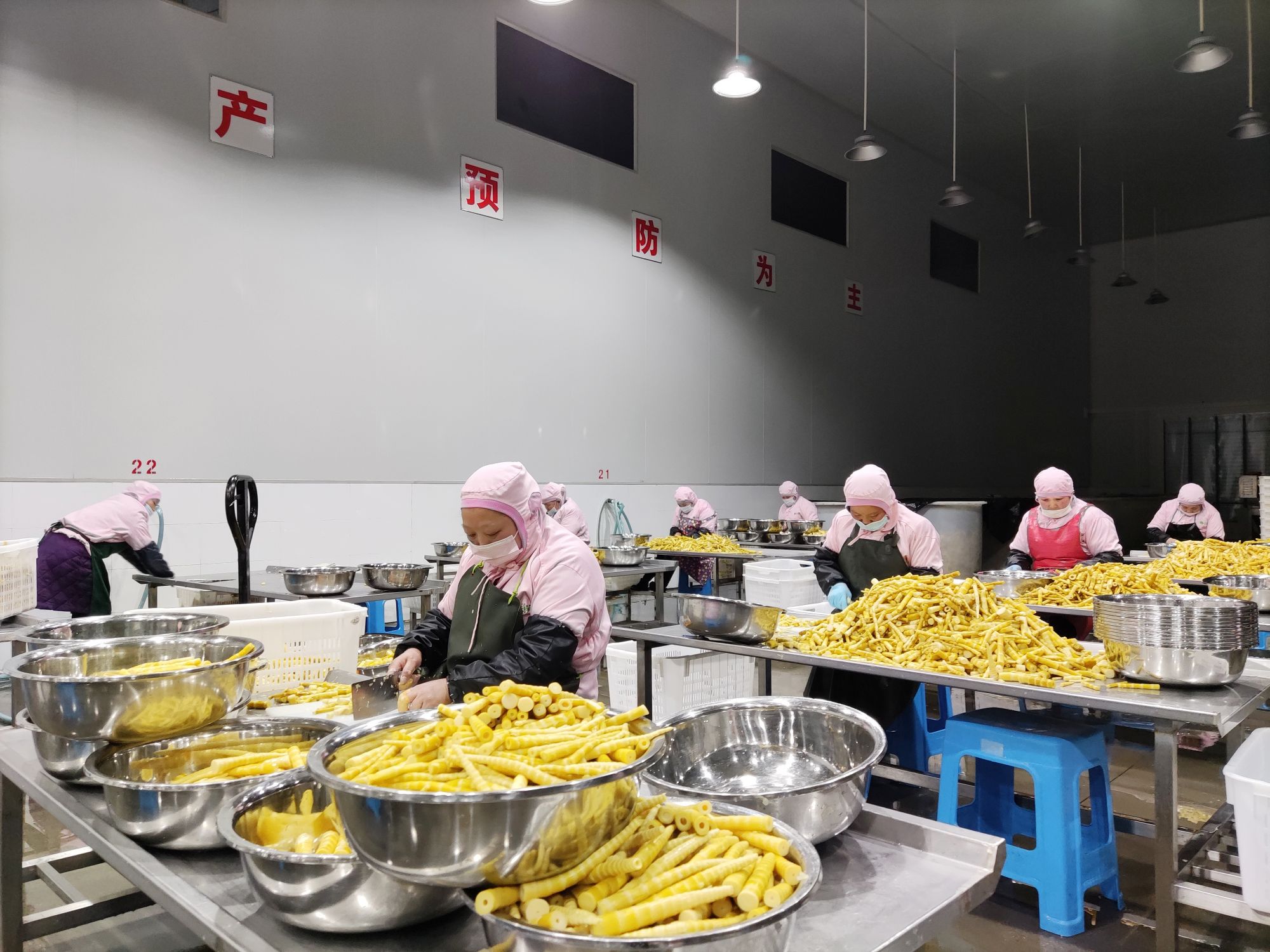 1月13日,镇雄县碗厂镇竹笋加工厂的员工在加工鲜笋.