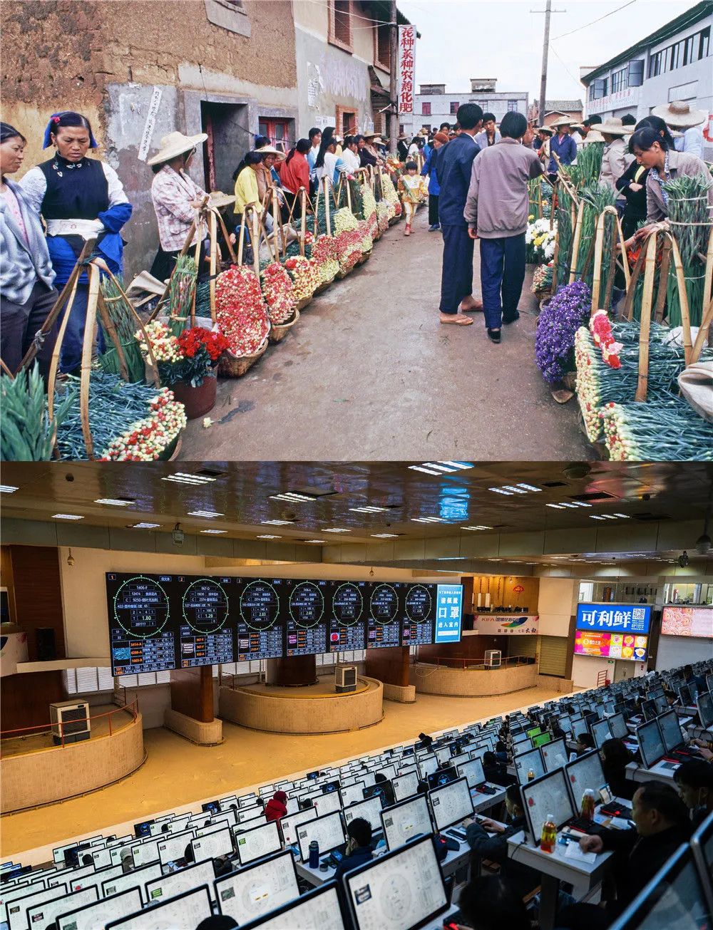 拼版照片：上图为1994年顾客在斗南村购买鲜花（资料照片）；下图为2022年1月21日，花商在昆明国际花卉拍卖交易中心内竞拍鲜花（王冠森 摄）