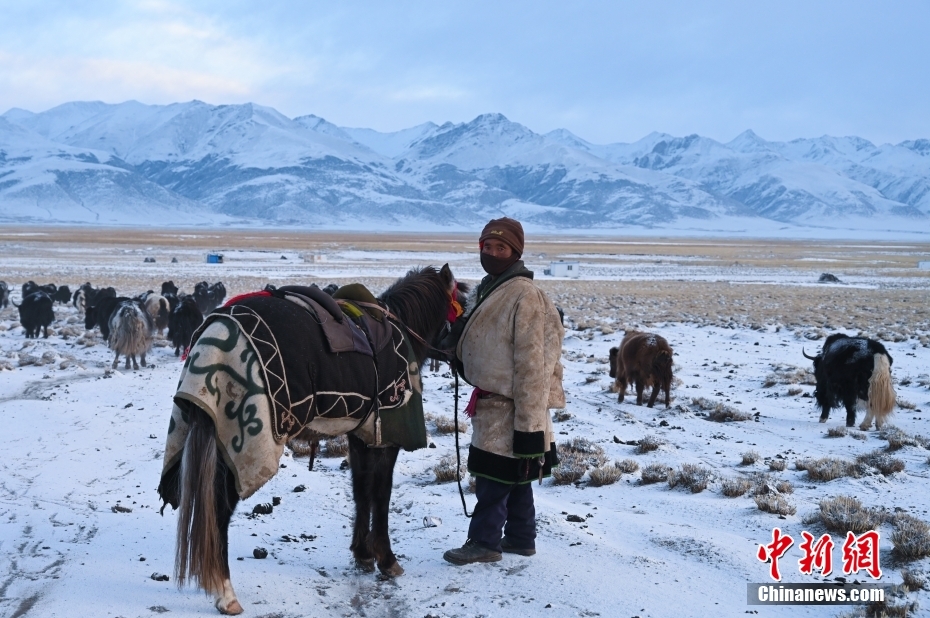 西藏藏北雪山下牧人的天堂草原