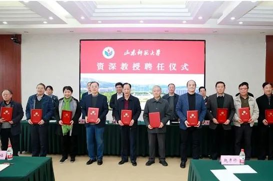 山师学者杨守森探文艺崇论宏议研诸道自成高格