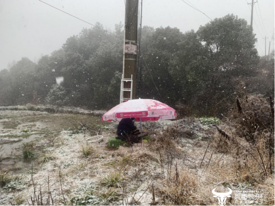 （湖北移动技术人员冒着寒风，顶着鹅毛大雪奋战一线）