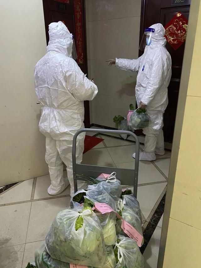 隔离在家新鲜蔬菜马上安排