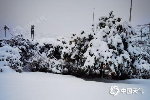 昨天，贵州铜仁万山出现明显积雪。图/杨浩