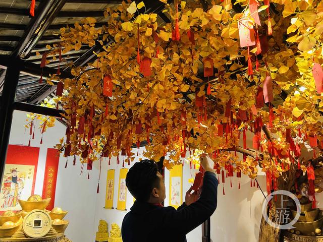 2月1日,江苏周庄,游客在许愿树下挂上许愿牌,为新年祈福.