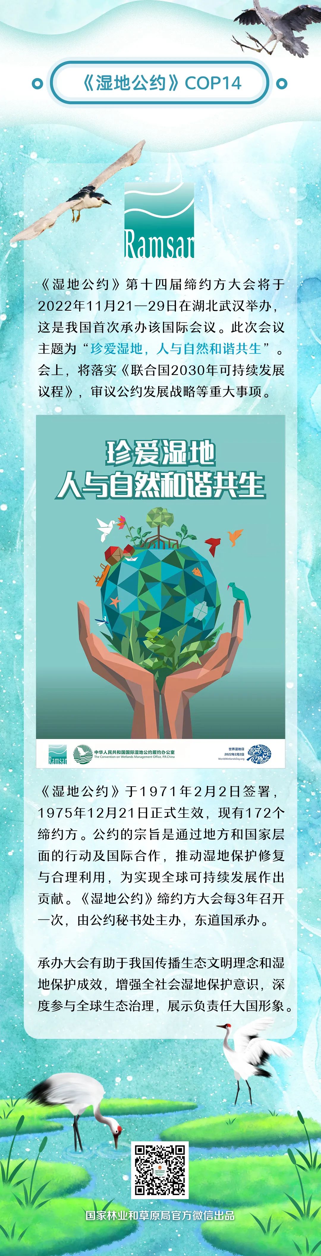 世界湿地日:珍爱湿地 人与自然和谐共生