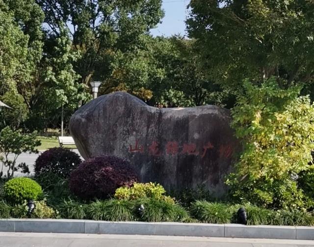 春節假期去哪玩金山區這些公園邀你來