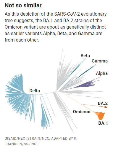 （其实BA.1和BA.2差异还挺大的，来源：Science）