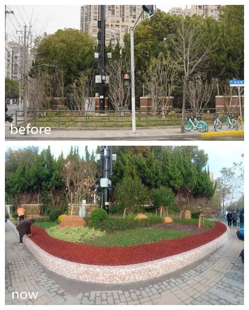 普陀人家门口的这些转角绿地微更新啦爱申活暖心春